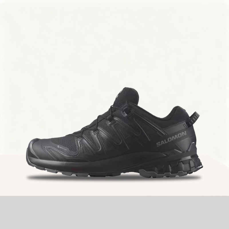 Salomon XA Pro 3D V9 GTX: Styl - Salomon Shoes Xa Pro 3D review and price